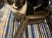 2 bonded pairs of beautiful kittens
