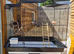 Large bird cage