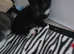 2 Female Kittens
