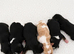 F1  cavapoos &ndash; Ethical Licensed Breeder