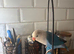 Semi tame love bird