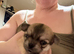 Chihuahuas forsale