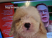 Cavapoochon