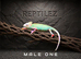 CHAMELEONS