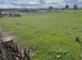 3.4 acres of grazing land in Chester le street