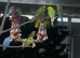 Budgies for sale