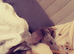 miniature dachshund for sale isabella dapple kc registered