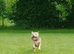 Rehome