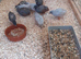 Cute Chinese painted quail
