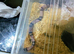 ANERY HONDURAN MILK SNAKE