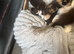 Kittens available 9wks