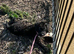 Patterpoo for rehoming