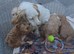 Small cockapoo puppy