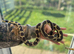 Pair of king snakes and a male Retic