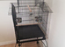 Bird cages forsale limavady