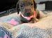 9 babies looking for loving family home