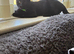 This is &lsquo;Arlo&rsquo;