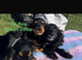 2 show type cocker spaniels puppies