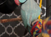 Romeo blue Indian ringneck
