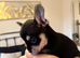 2 male chihuahua puppies