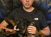 Doberman puppies