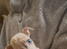 4 beautiful merle jack russell puppies