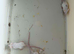 Pet mice