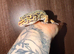 Stunning leopard gecko
