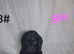 Cockapoo puppies