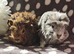 Boar pair ready now