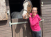 Stunning cob x warmblood