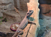 Baby bearded dragons