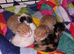 Adorable ragdoll x kittens