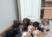 F1 show type cockapoo puppies