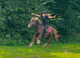 Super cob