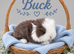 Beautiful litter of Pure Bred Mini Lops
