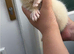 Ferret kits 1/2 micro hobs 10 weeks