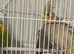 Male and female
