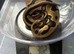 Leopard Orange Dream 100% Het Pied female Ball Python