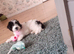 Female - Millie