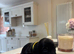 Long hair/short hair miniature dachshund