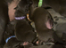 5 beautiful puppies