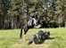 15.2hh gelding