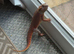 Red monster beared dragon