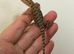 STUNNING BEARDIE READY NOW