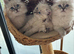 Registered Siberian kittens