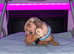Kc Miniture dachshund puppy's