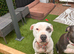 Keela 7 years