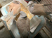 This year's Barbary doves and one white Java.