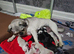 Pink panda and black pug puppies for sale